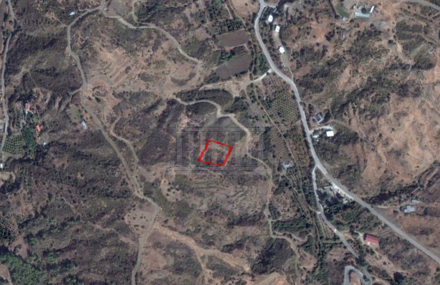 Field in Kato Pyrgos, Nicosia