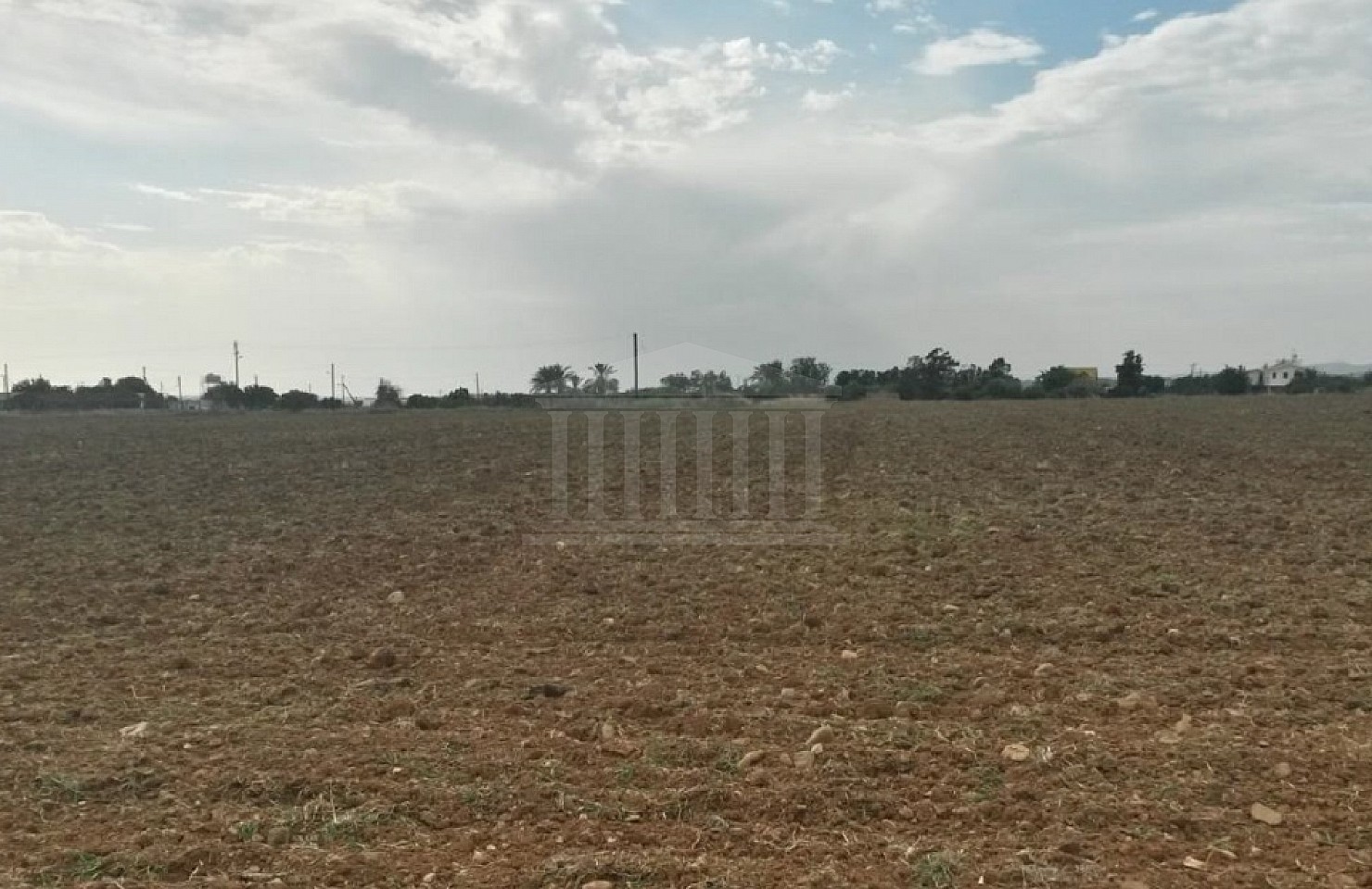 Two fields in Agios Theodoros, Larnaka