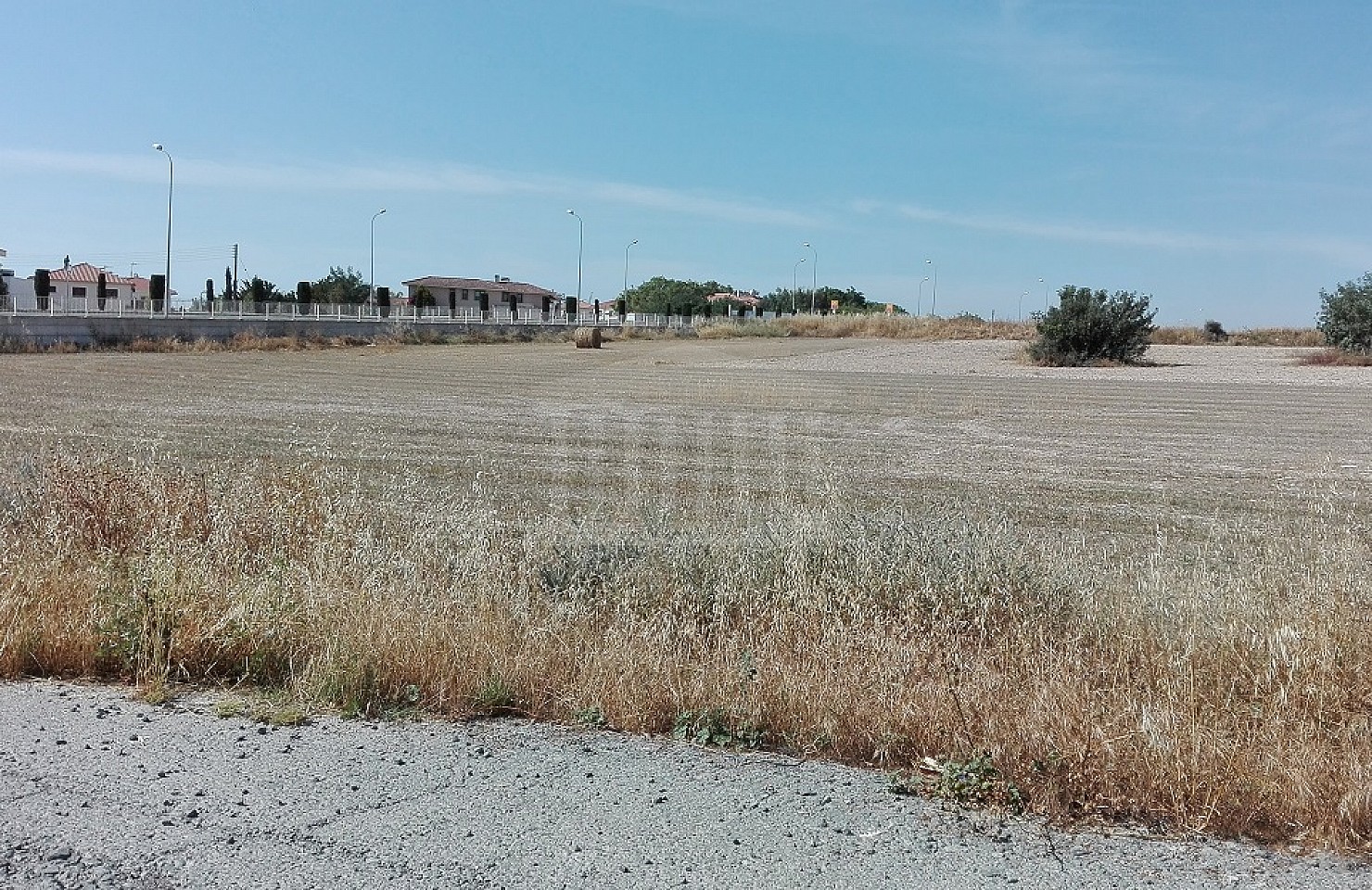 Field in Aradippou, Larnaka