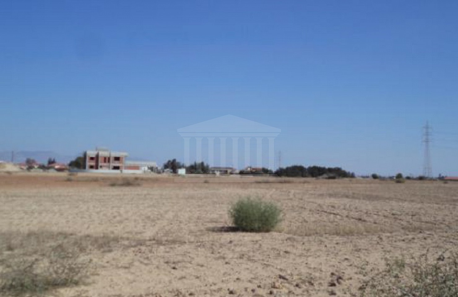 Field in Latsia, Nicosia