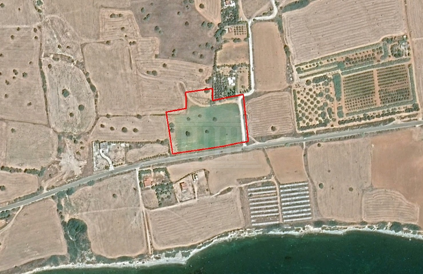 Field in Agios Theodoros, Larnaka