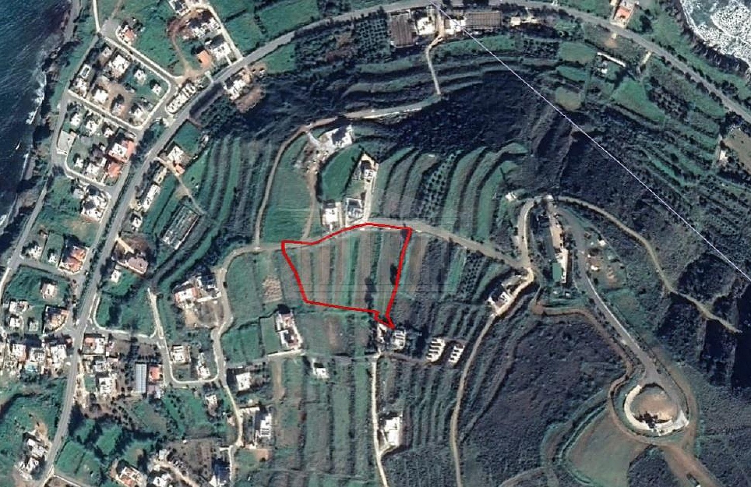 Field in Pomos, Paphos