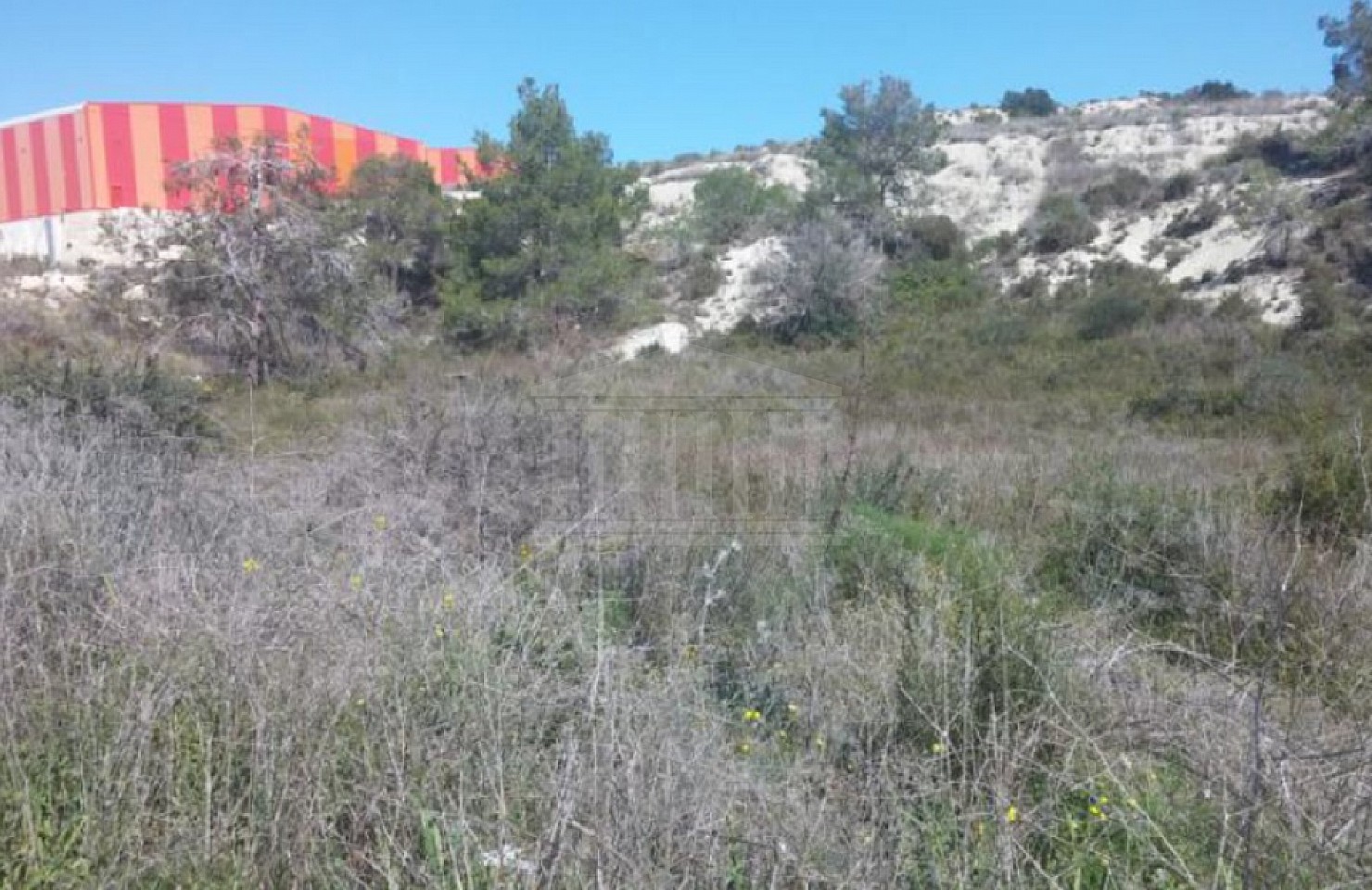 Two Adjoining Fields in Monagrouli, Limassol