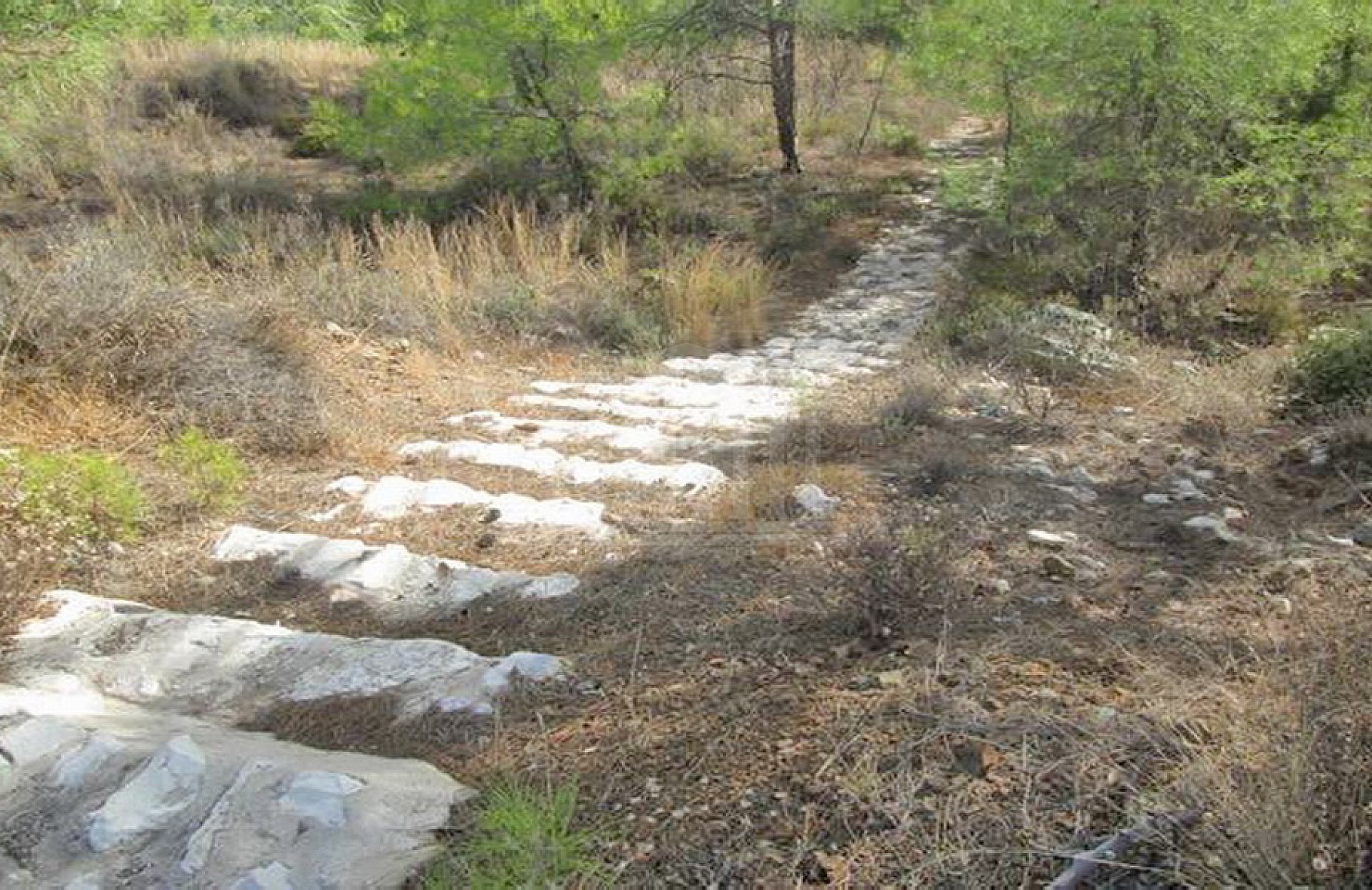 Residential Plot in Kornos, Larnaka