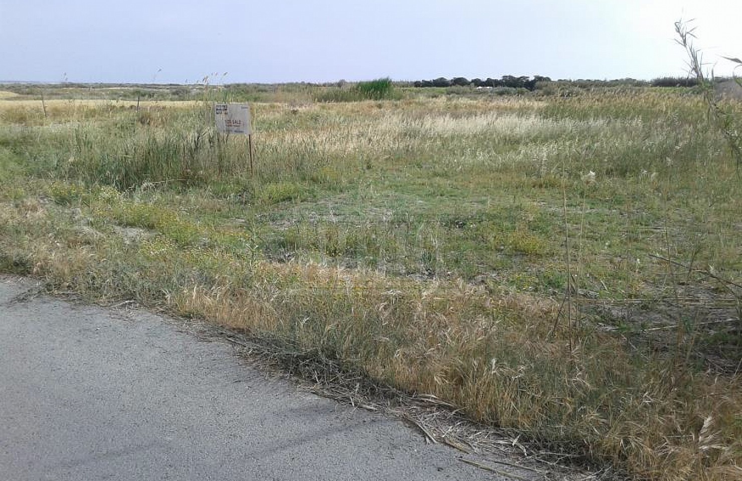Field in Akrotiri, Limassol