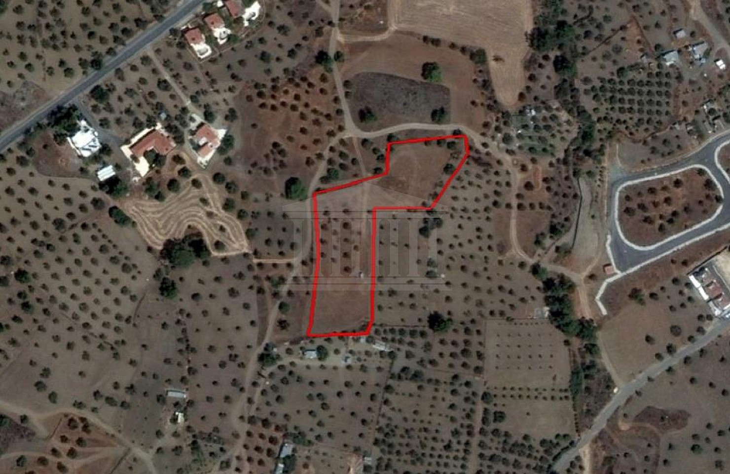 Field Kornos, Larnaka
