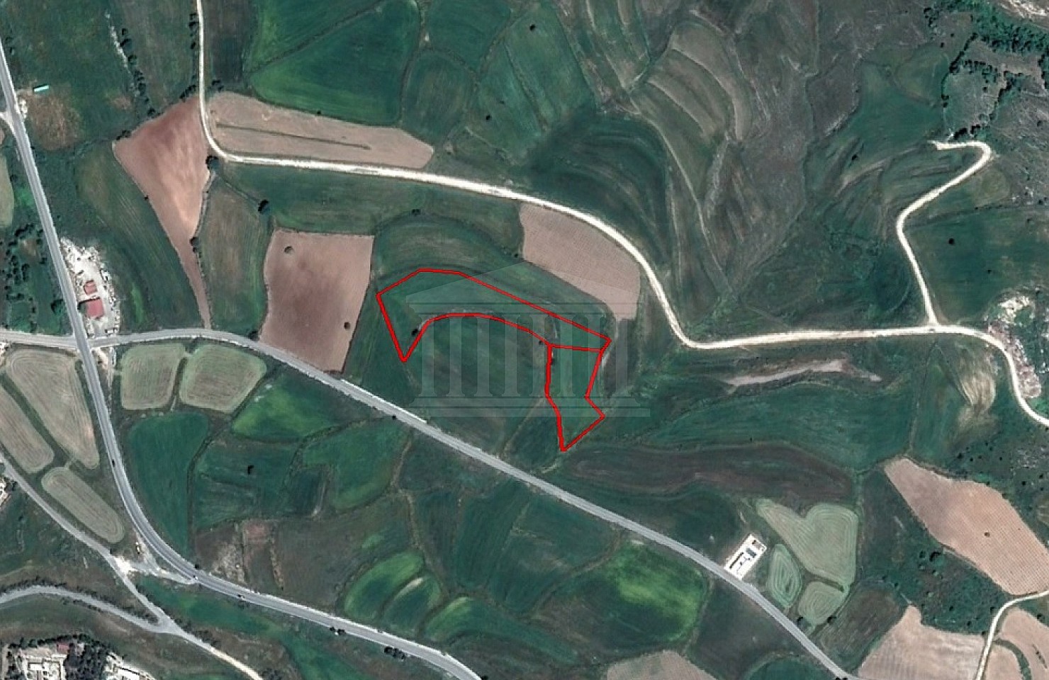 Two Fields in Pano Arodes, Paphos