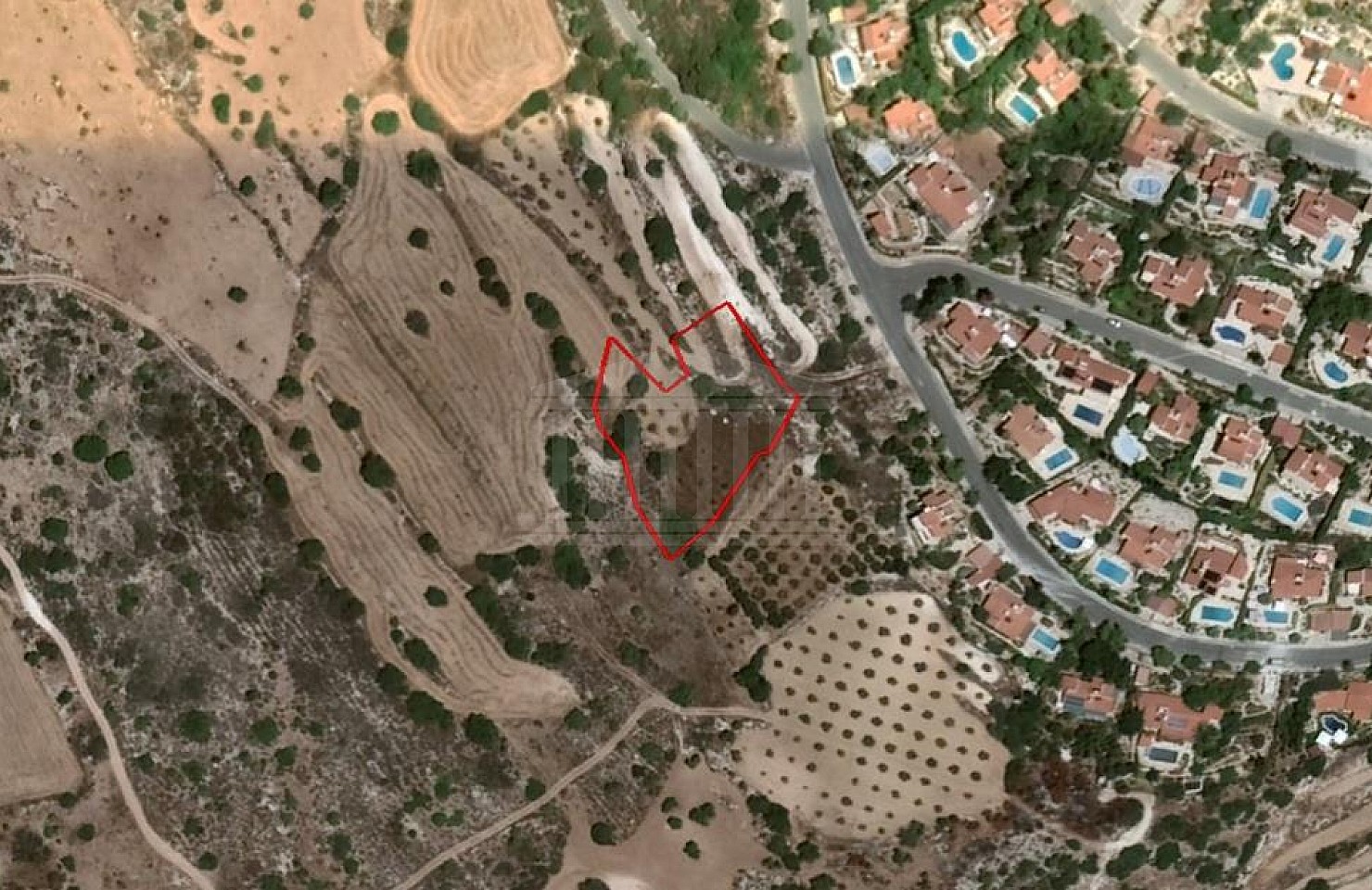 Field in Koili, Paphos