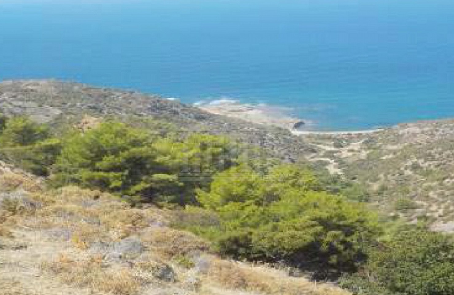 11 Fields in Pigenia, Nicosia