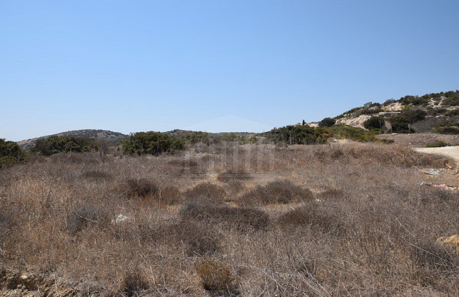 Two Adjacent Fields in Parekklisia, Limassol