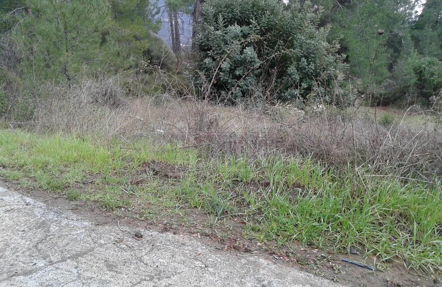 Field in Moniatis, Limassol