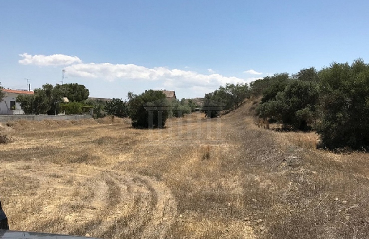 Field in Tseri, Nicosia