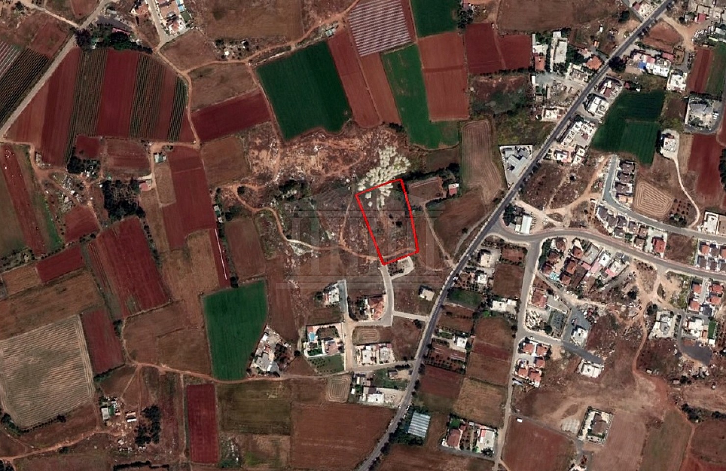 Field in Sotera, Ammochostos