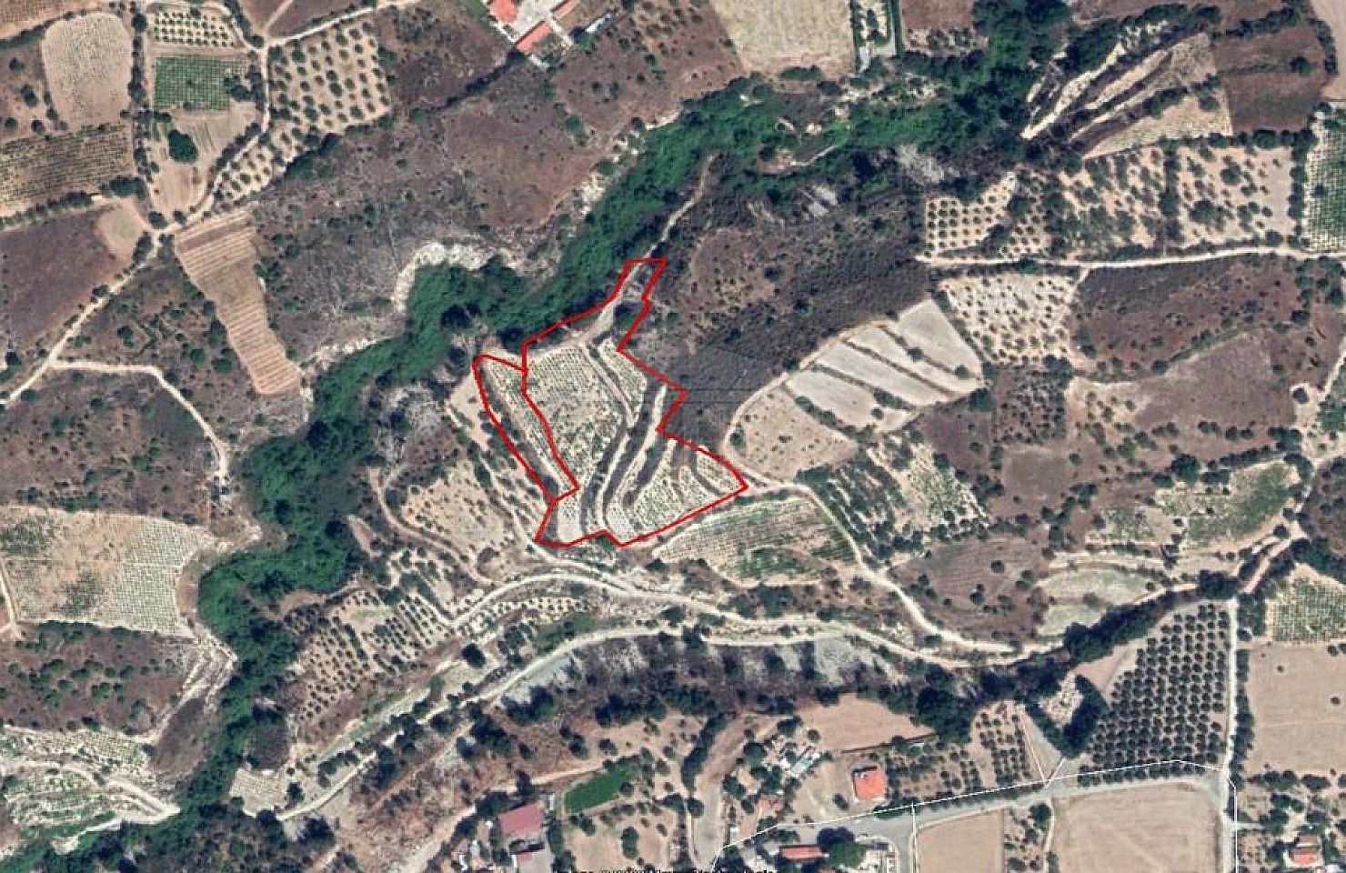 Field in Doros, Limassol