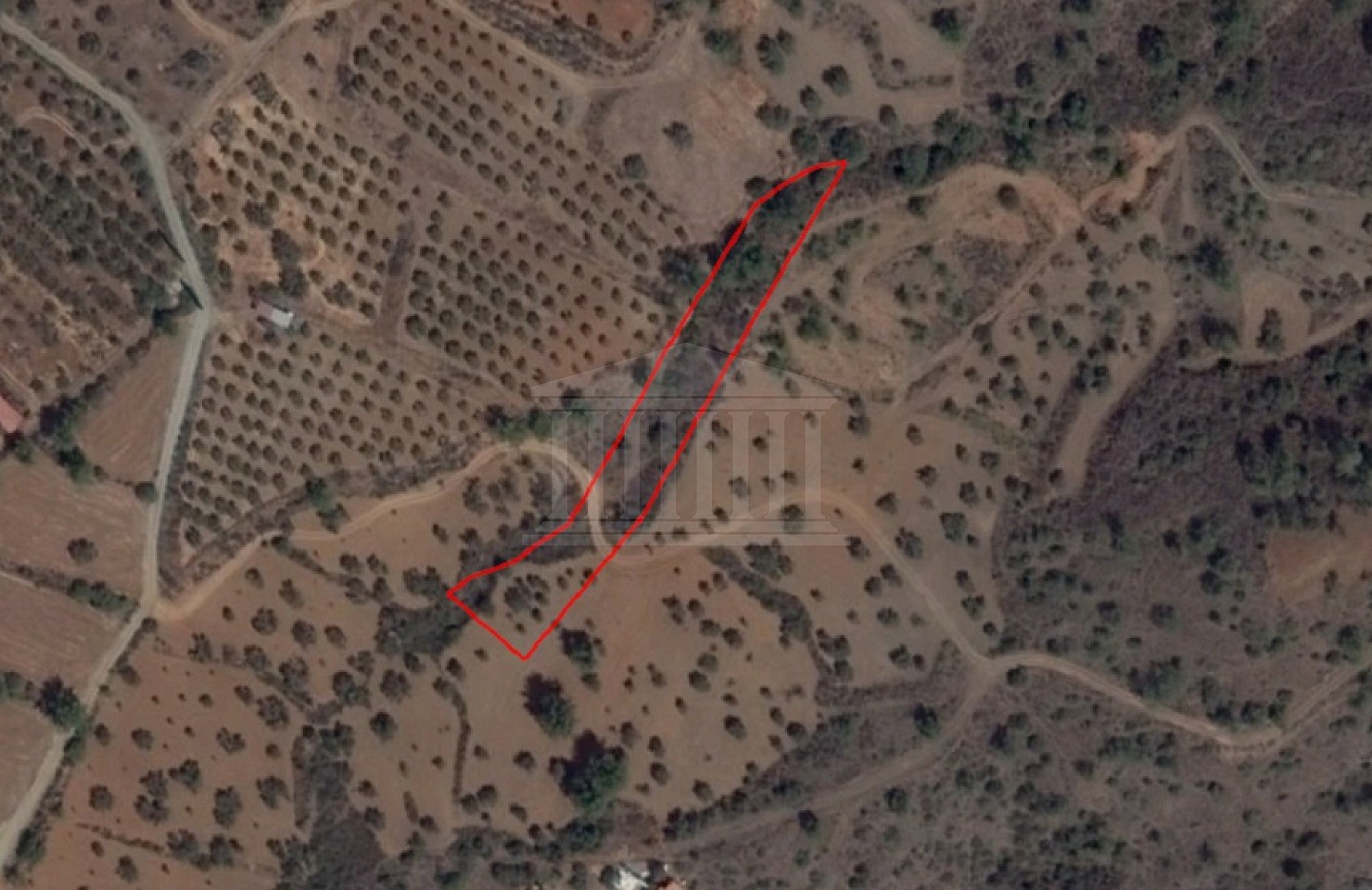 Agricultural Field in Lythrodontas, Nicosia