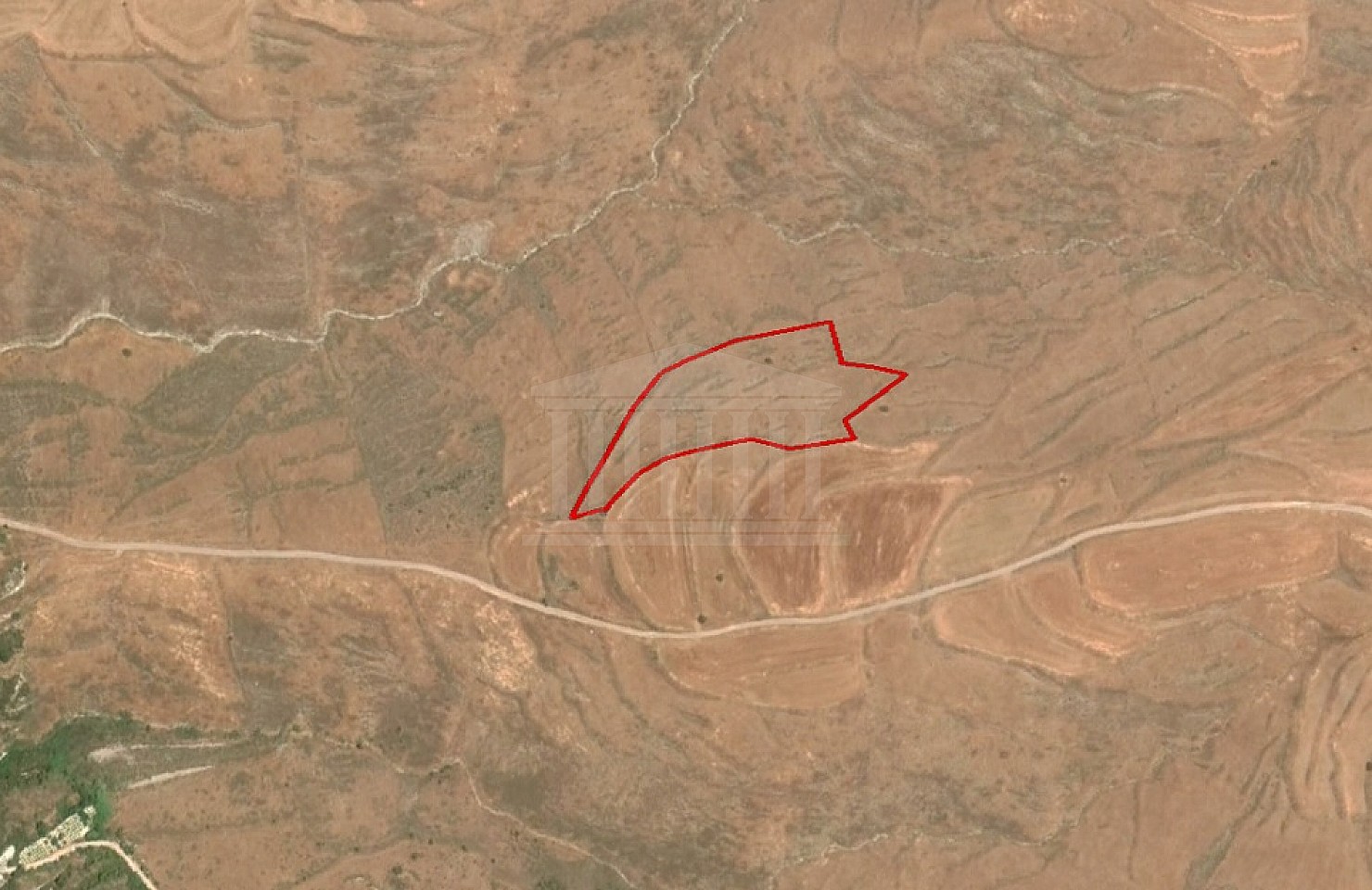 Share of Field in Kathikas, Paphos