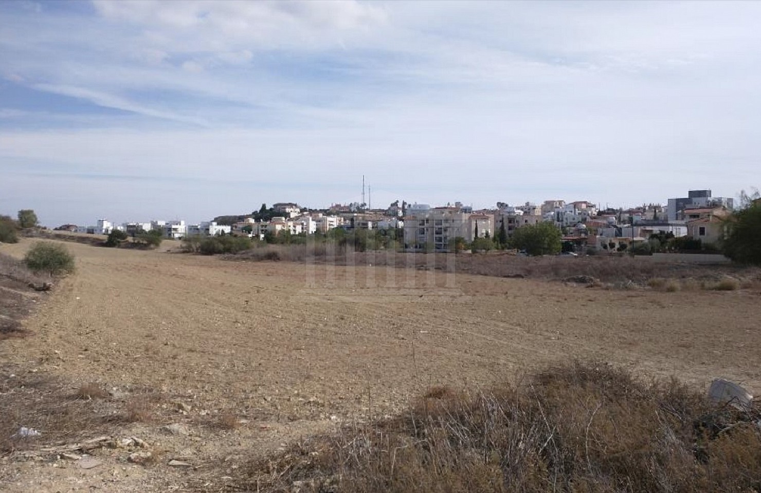 Field in Panagia, Nicosia,
