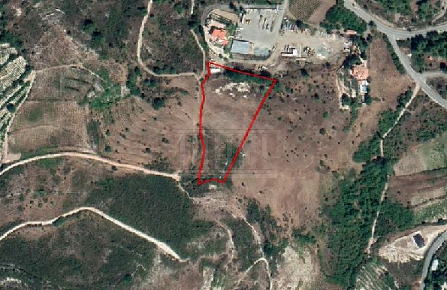 Field in Mandria, Limassol