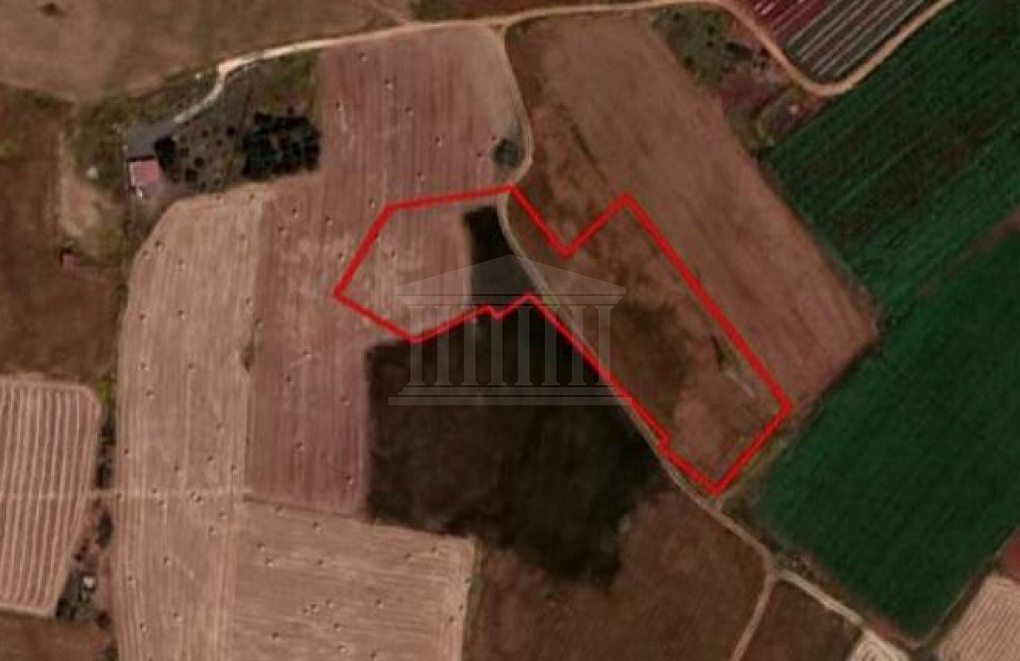 Field in Frenaros, Ammochostos