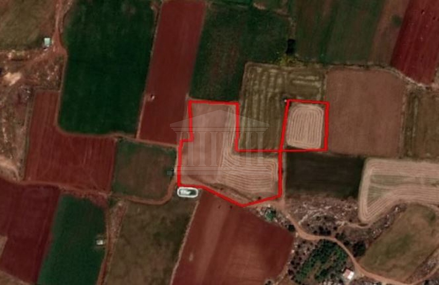 Two Fields in Frenaros, Ammochostos
