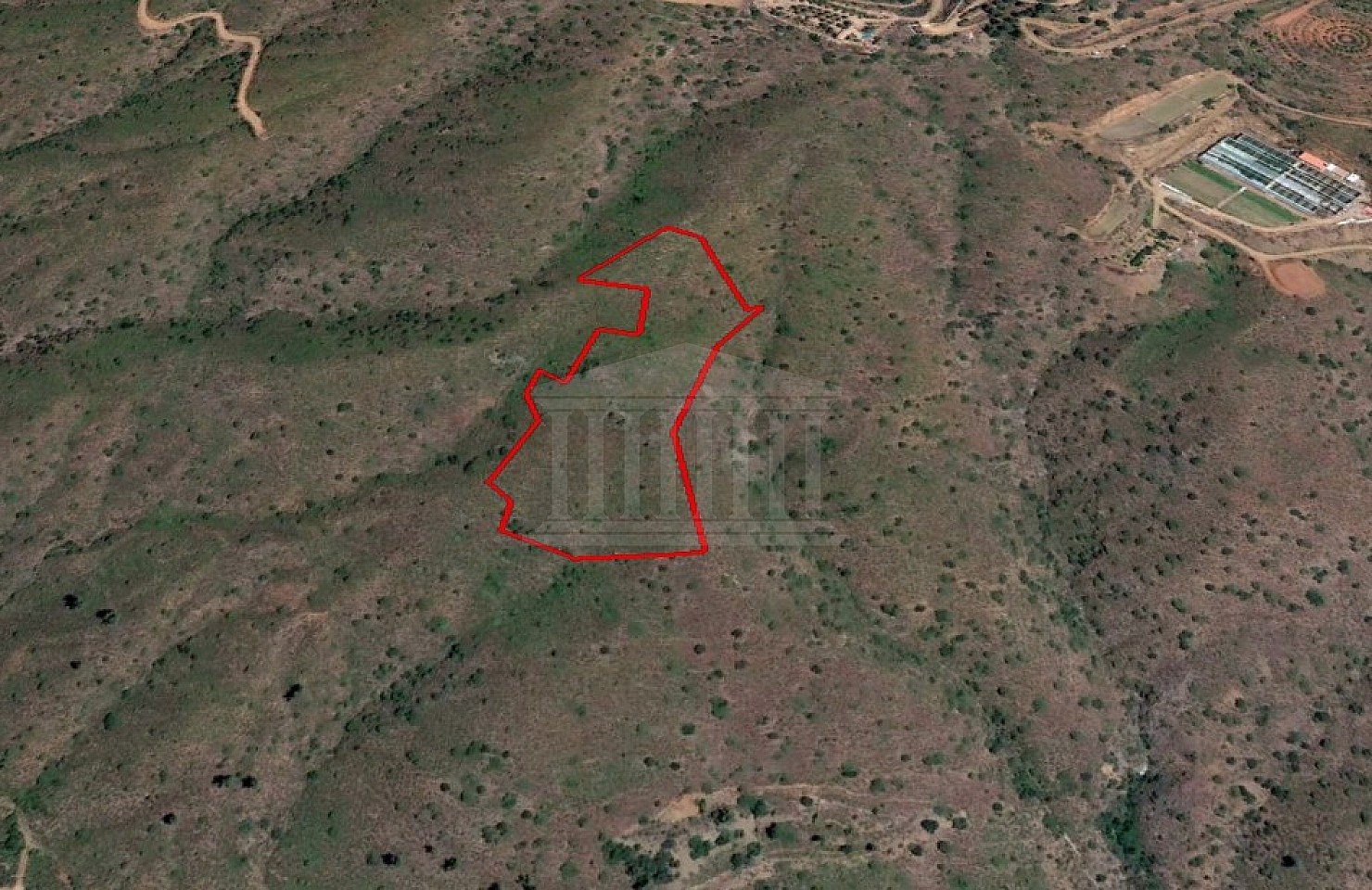 Field in Lythrodontas, Nicosia