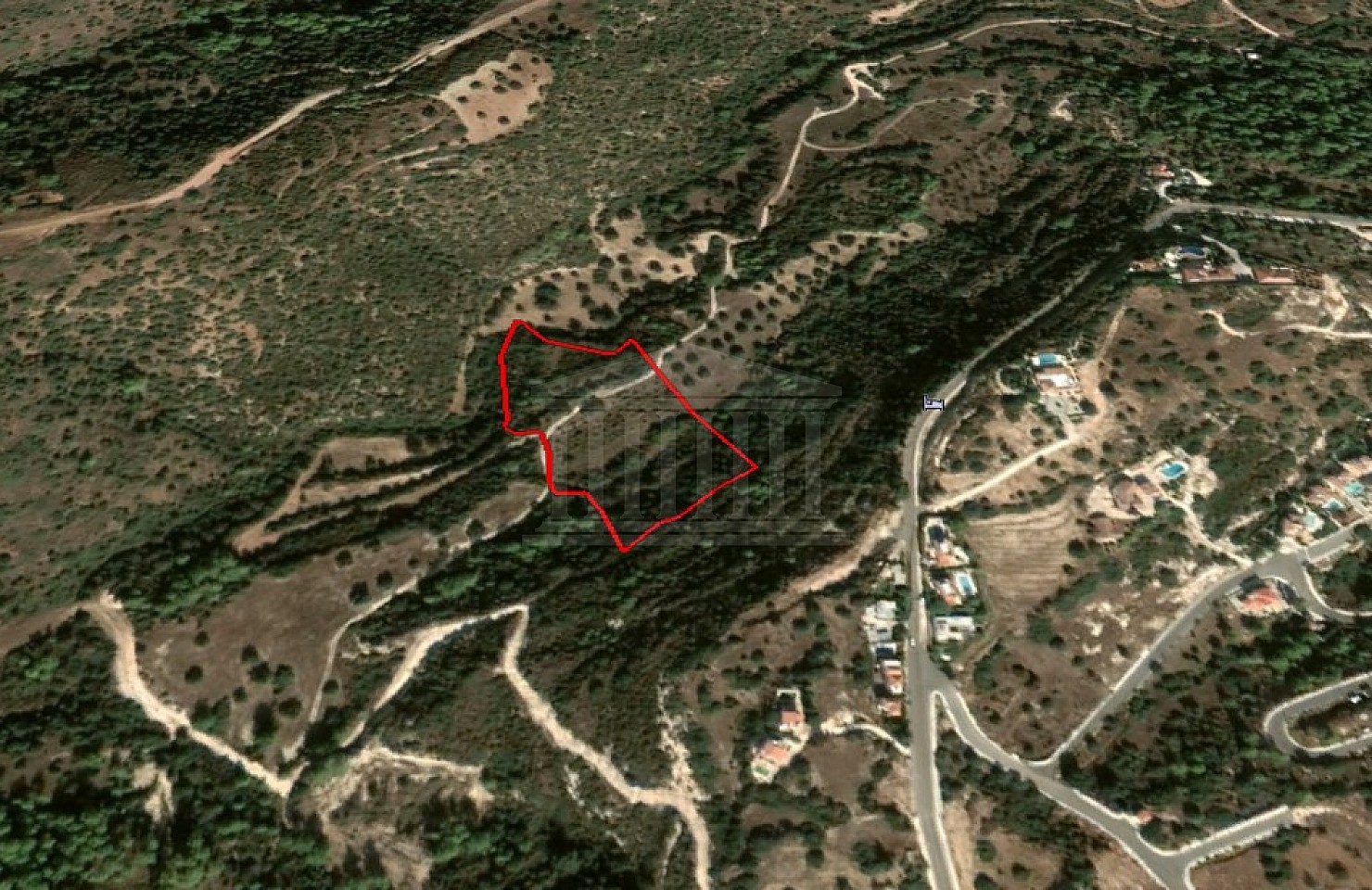 Field in Neo Chorio, Paphos