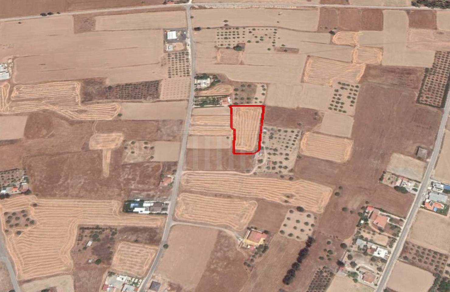 Field in Mammari, Nicosia