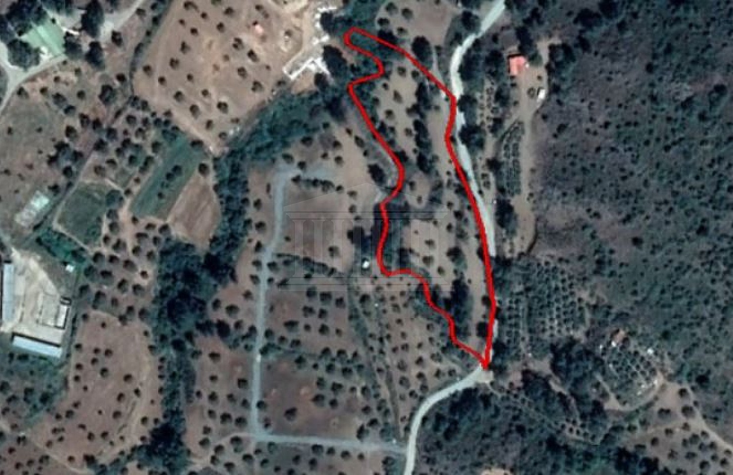 Share Field in Lythrodontas, Nicosia