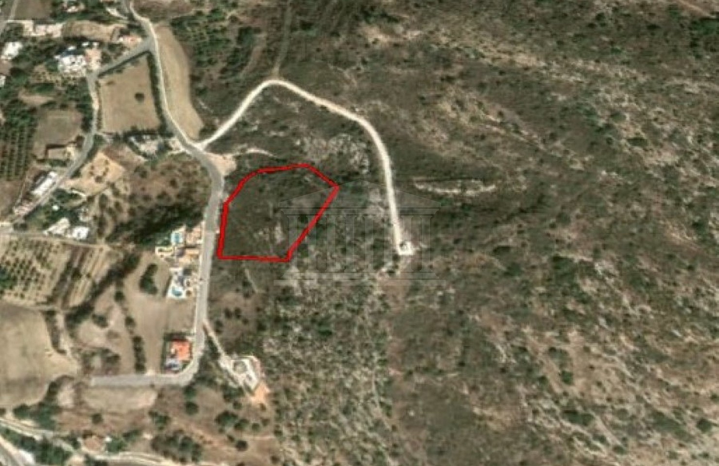 Field in Steni, Pafos
