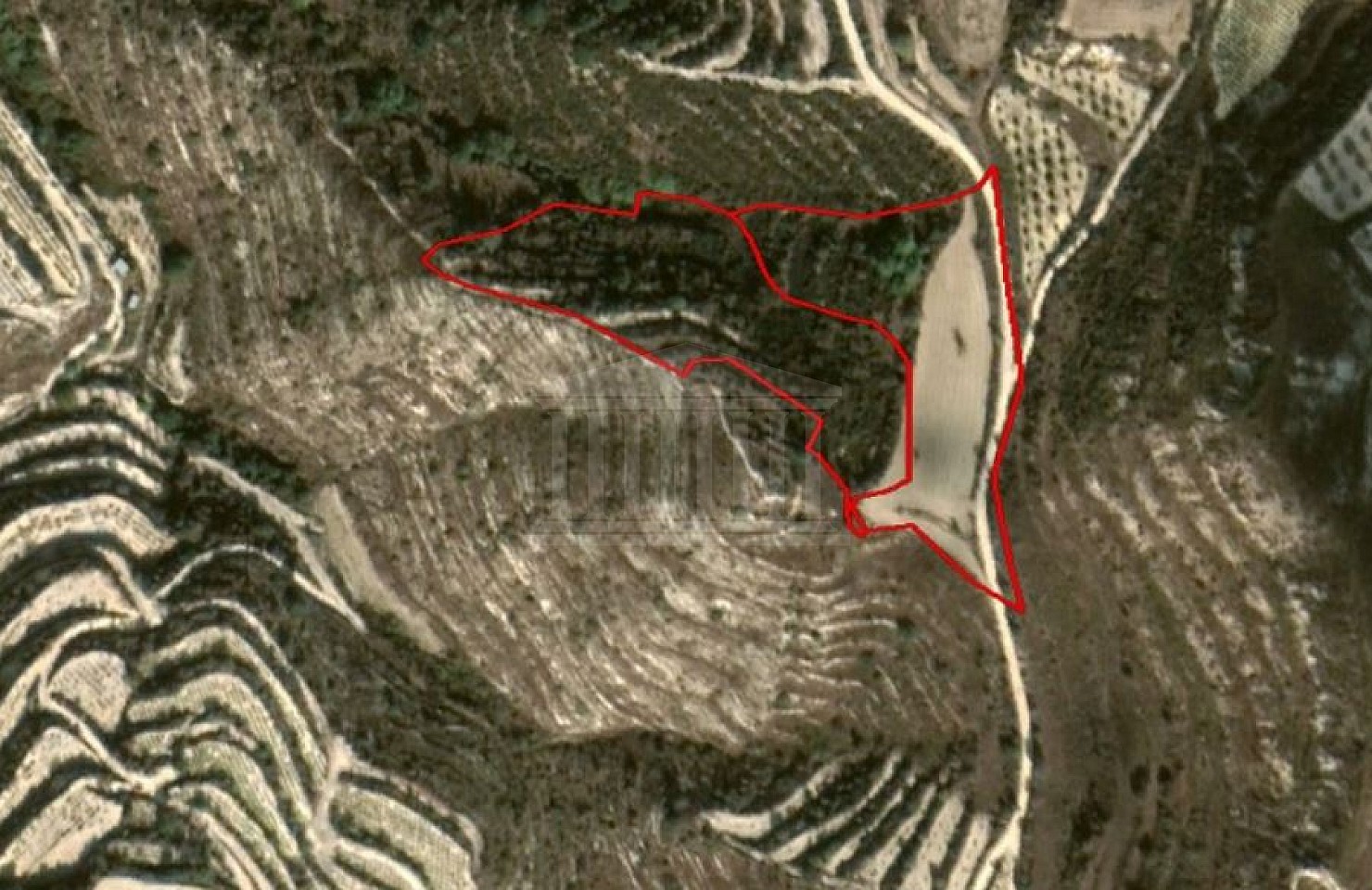 Two Fields in Koili, Pafos