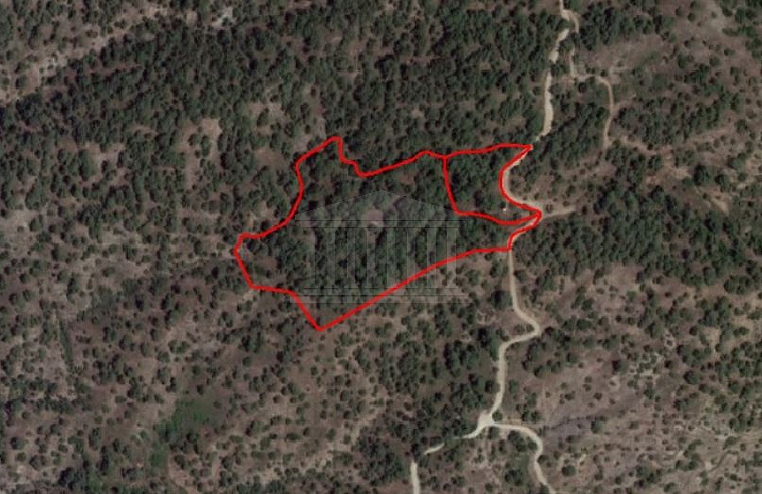 Two Fields in Agios Mamas, Limassol