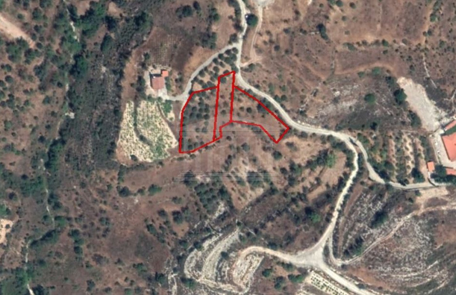 Three Fields in Vouni, Limassol