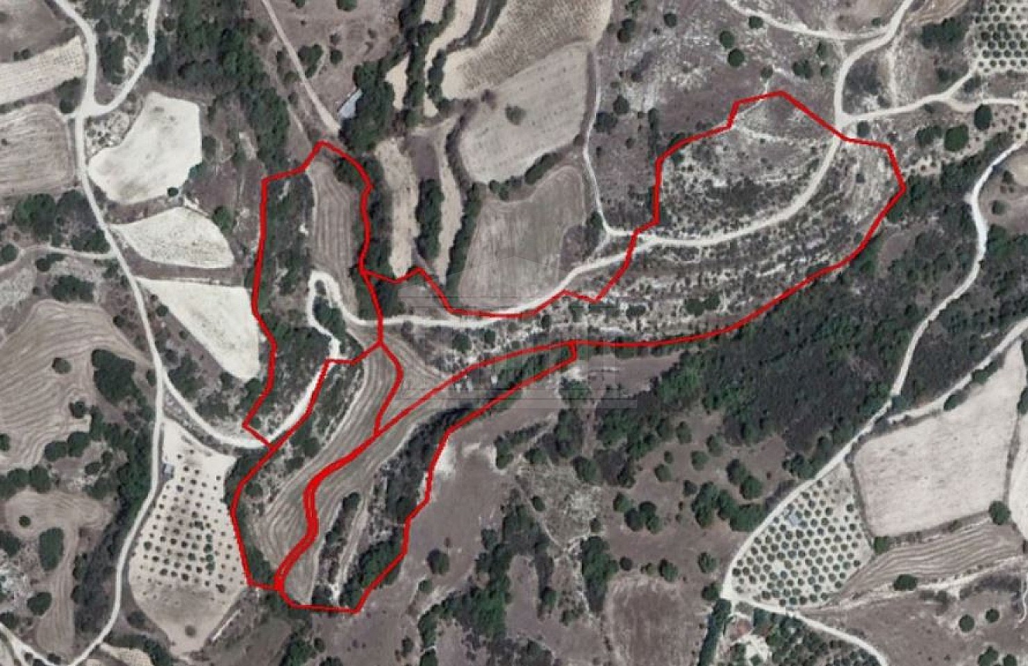 Four Fields in Psathi, Pafos