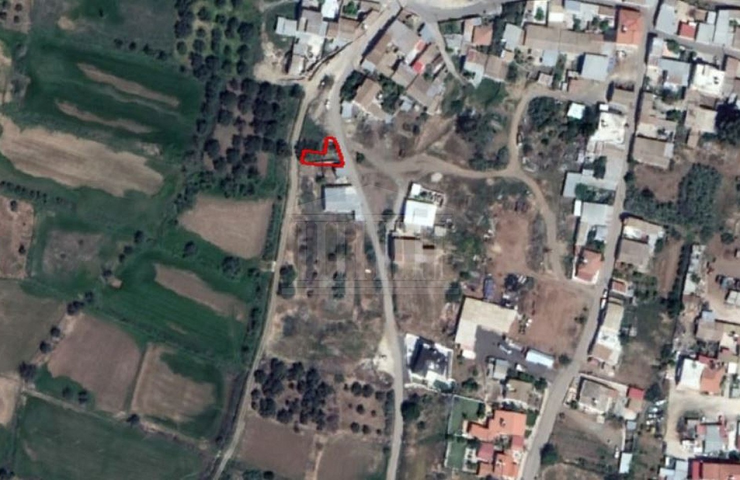Field in Orounta, Nicosia
