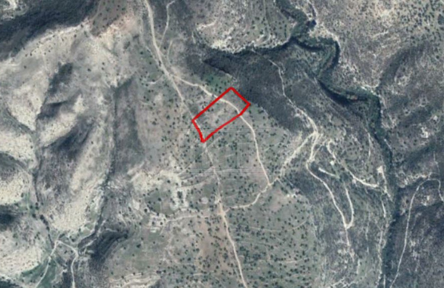 Field in Prastio Avdimou, Limassol