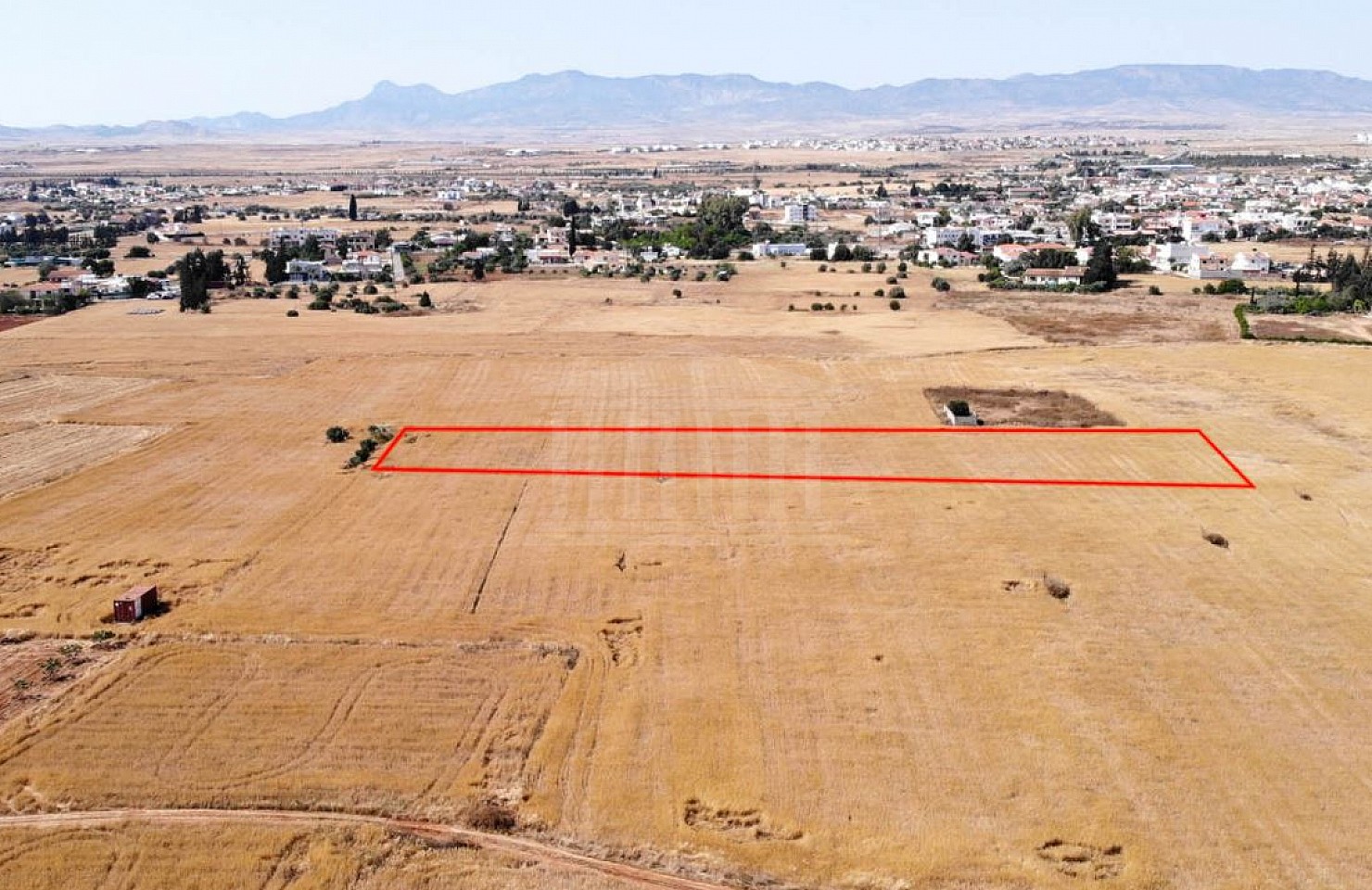 Field in Kokkinotrimithia, Nicosia