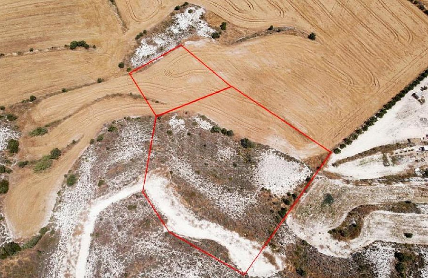 Two fields in Analiontas, Nicosia