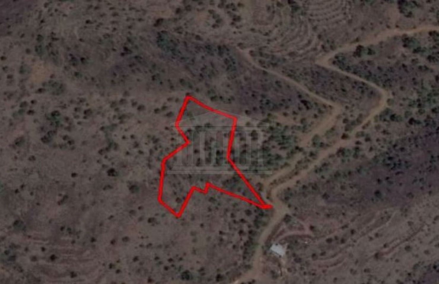 Field in Kampi, Nicosia