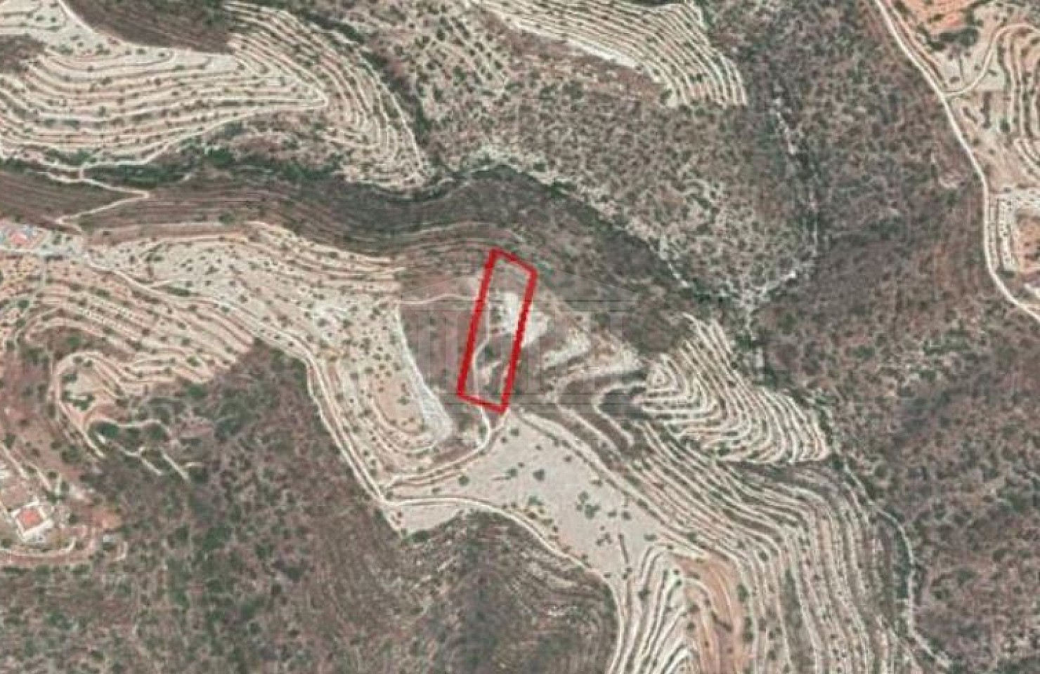 Field in Apesia, Limassol