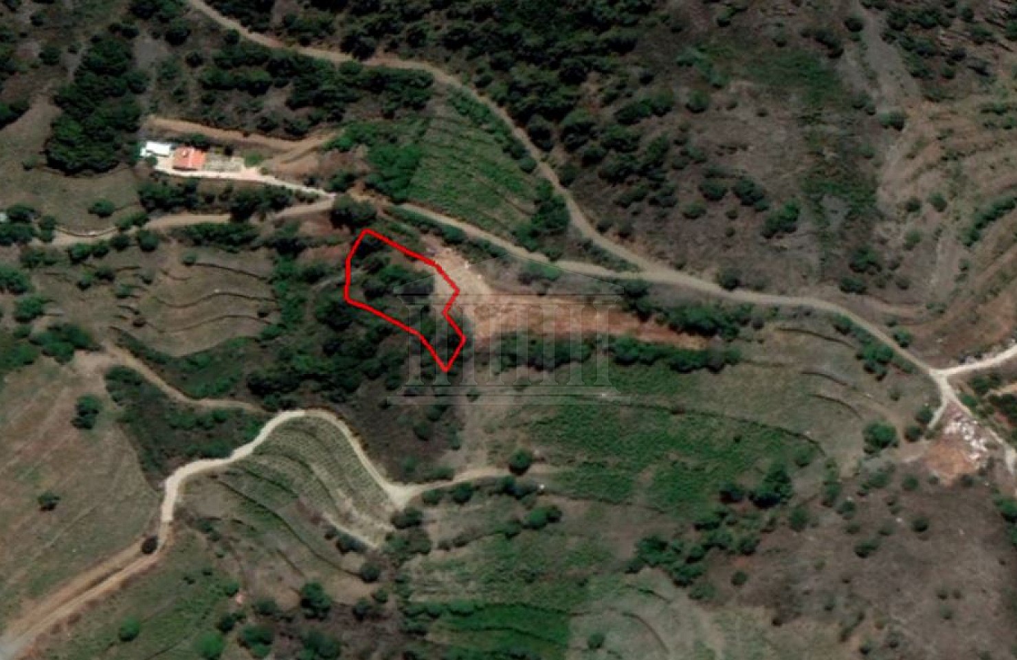 Field in Farmakas, Nicosia
