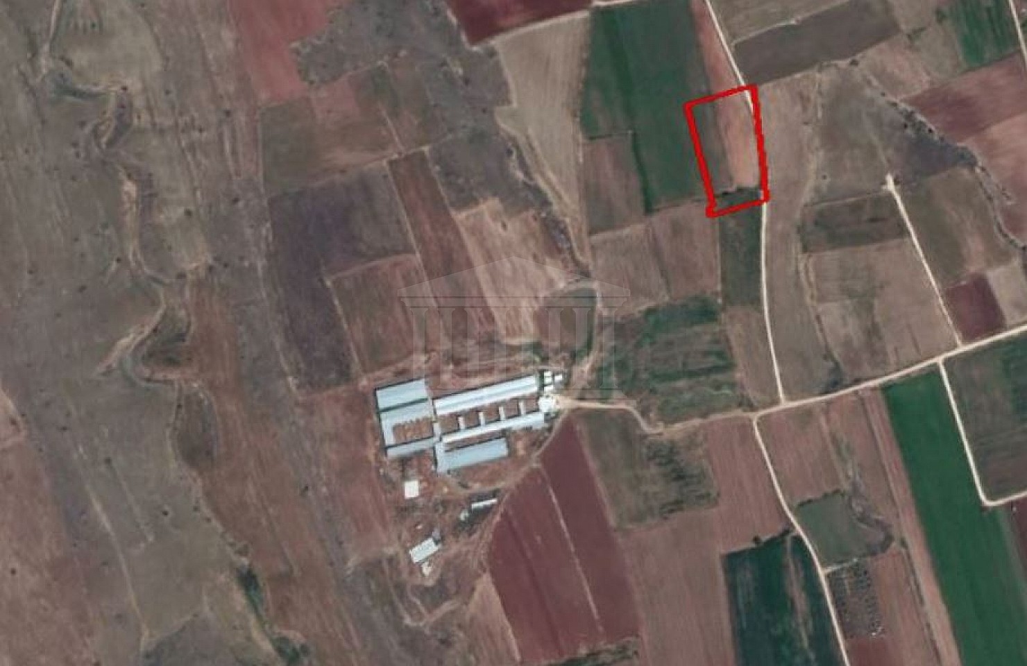 Field in Peristerona, Nicosia