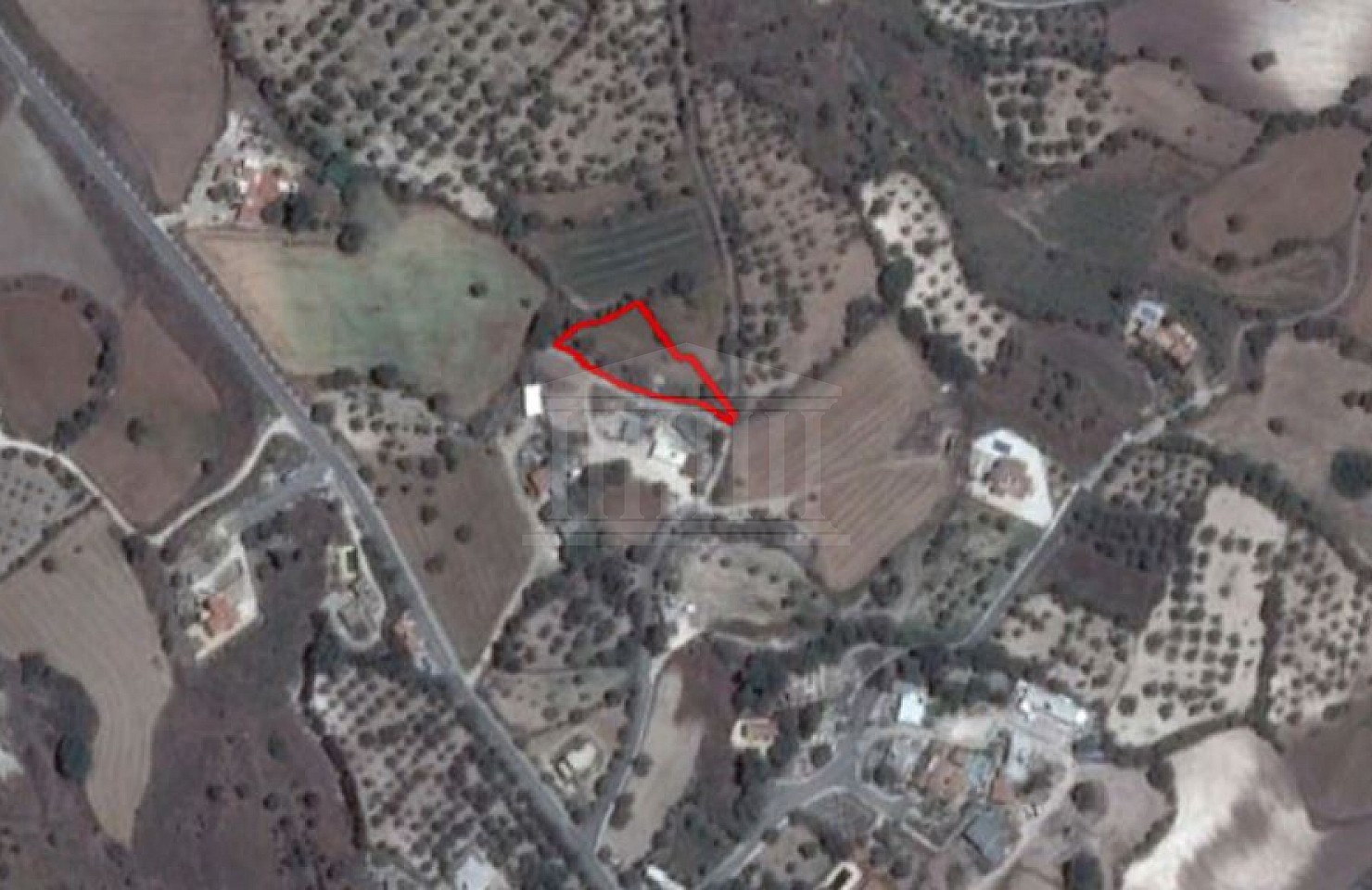 Residential Field in Simou, Paphos