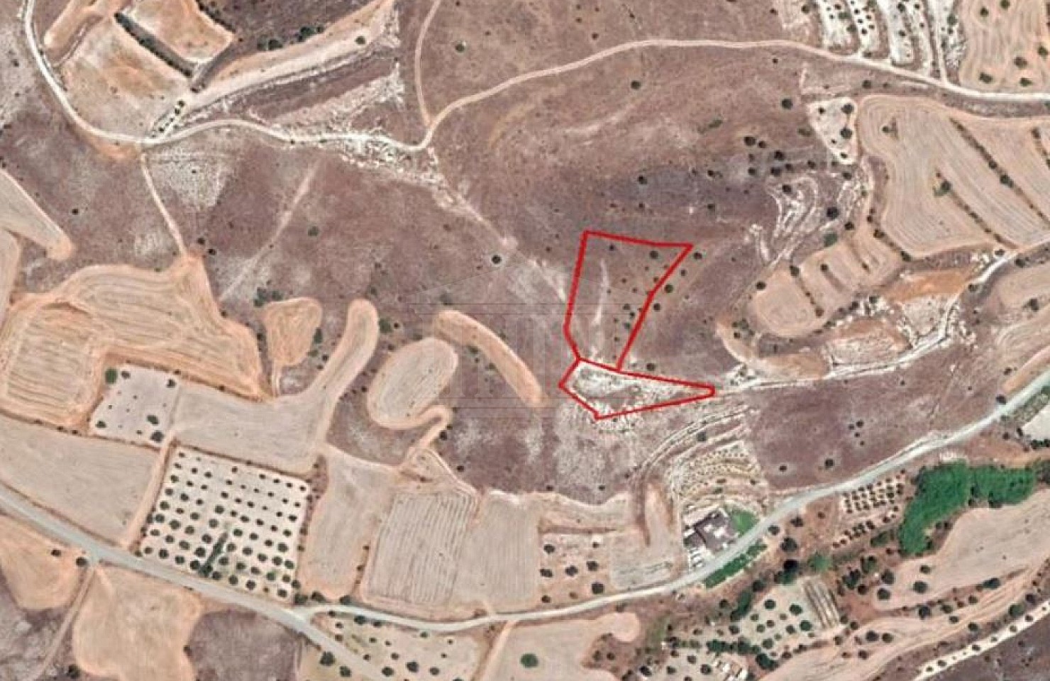 Two Fields in Alampra, Nicosia