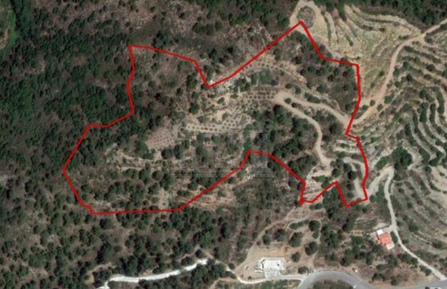 Field in Agios Pavlos, Limassol