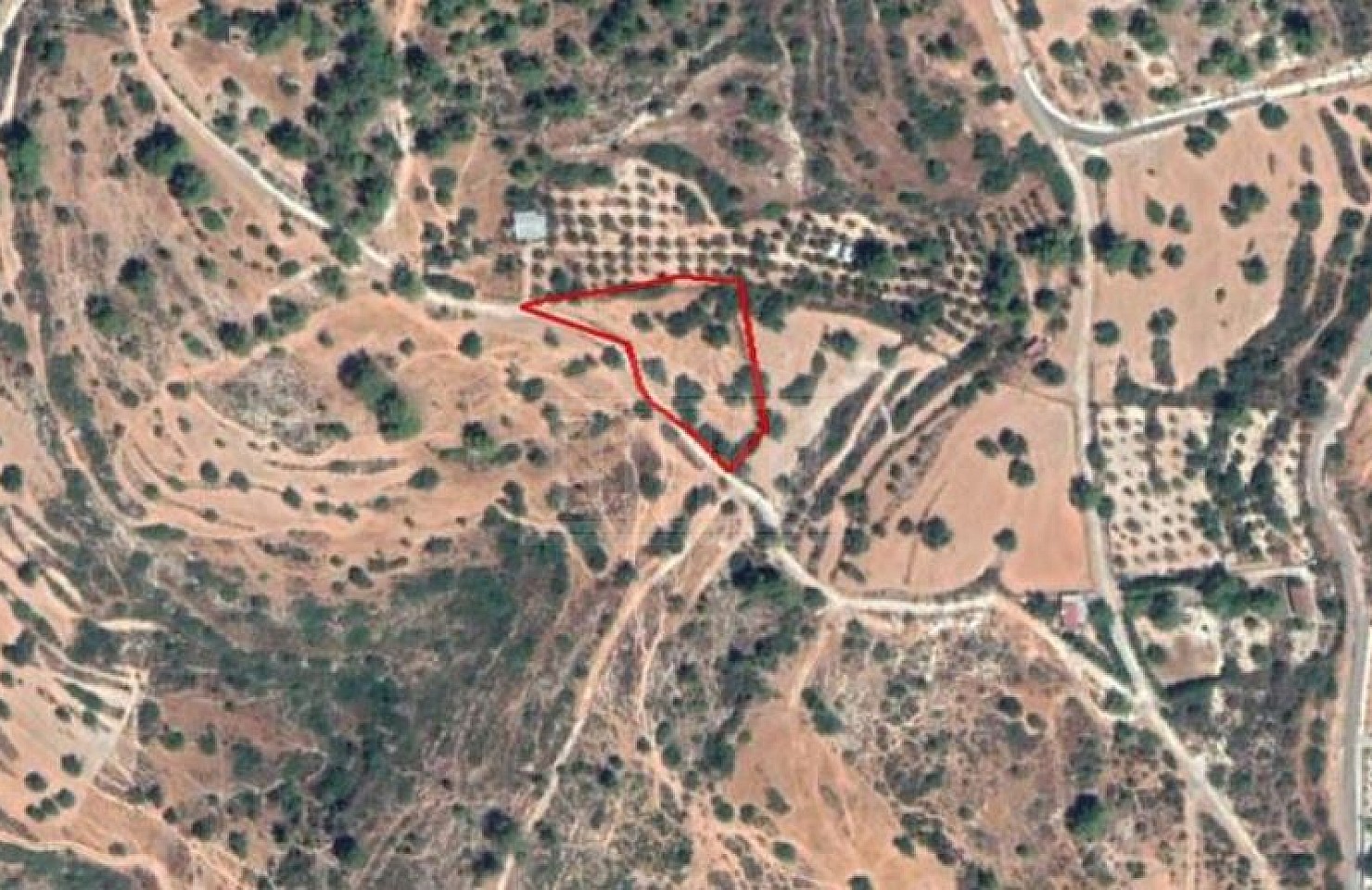 Field in Souni-Zanakia, Limassol