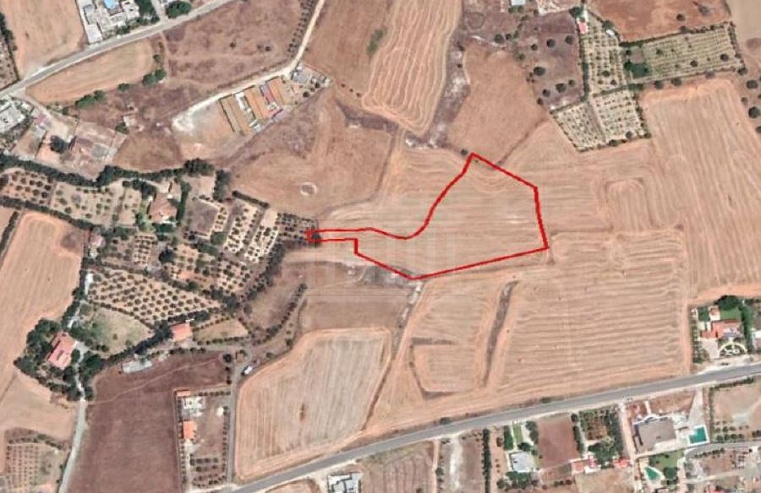Field in Agioi Trimithias, Nicosia
