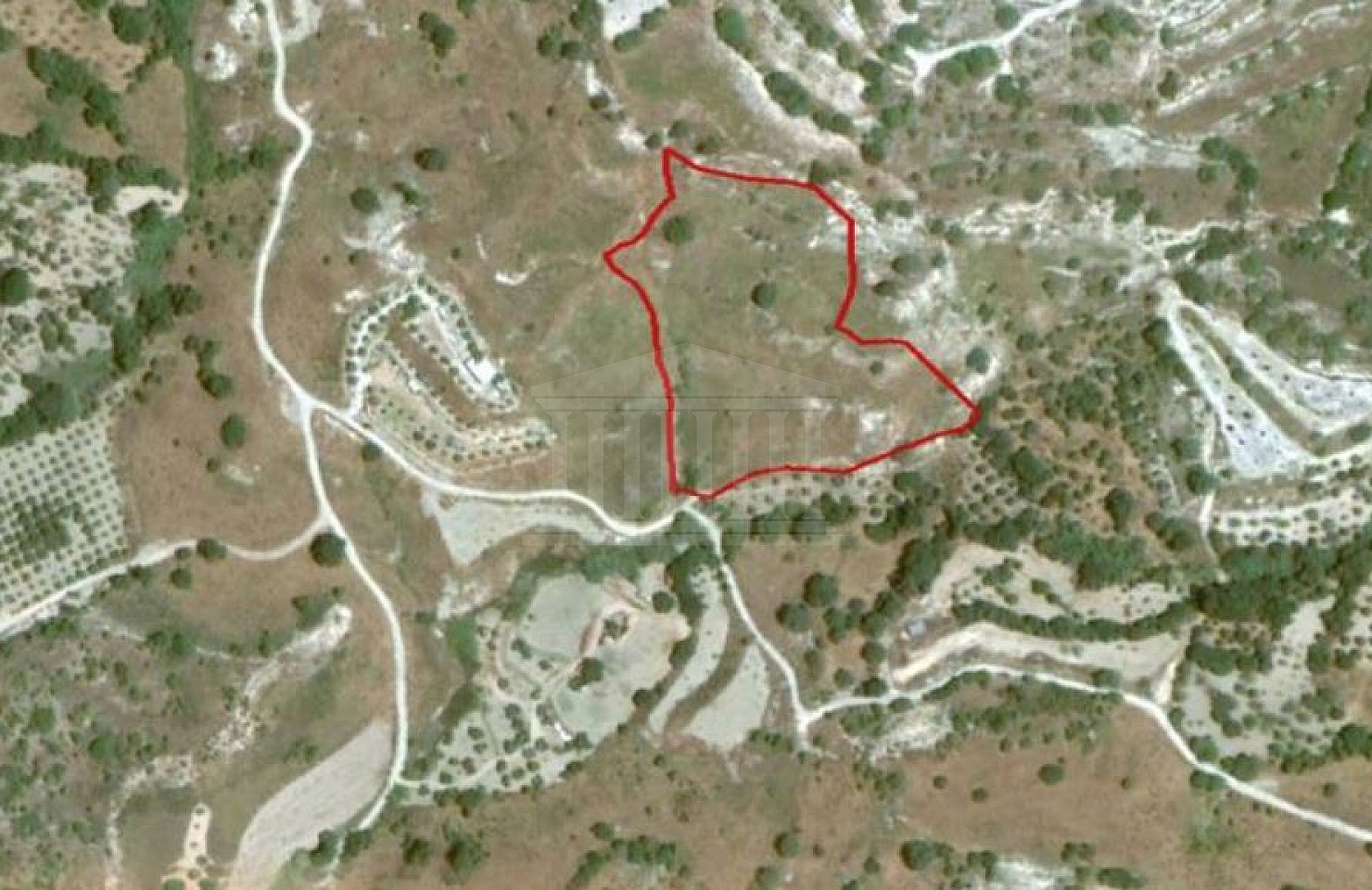 Field in Mesa Chorio, Paphos