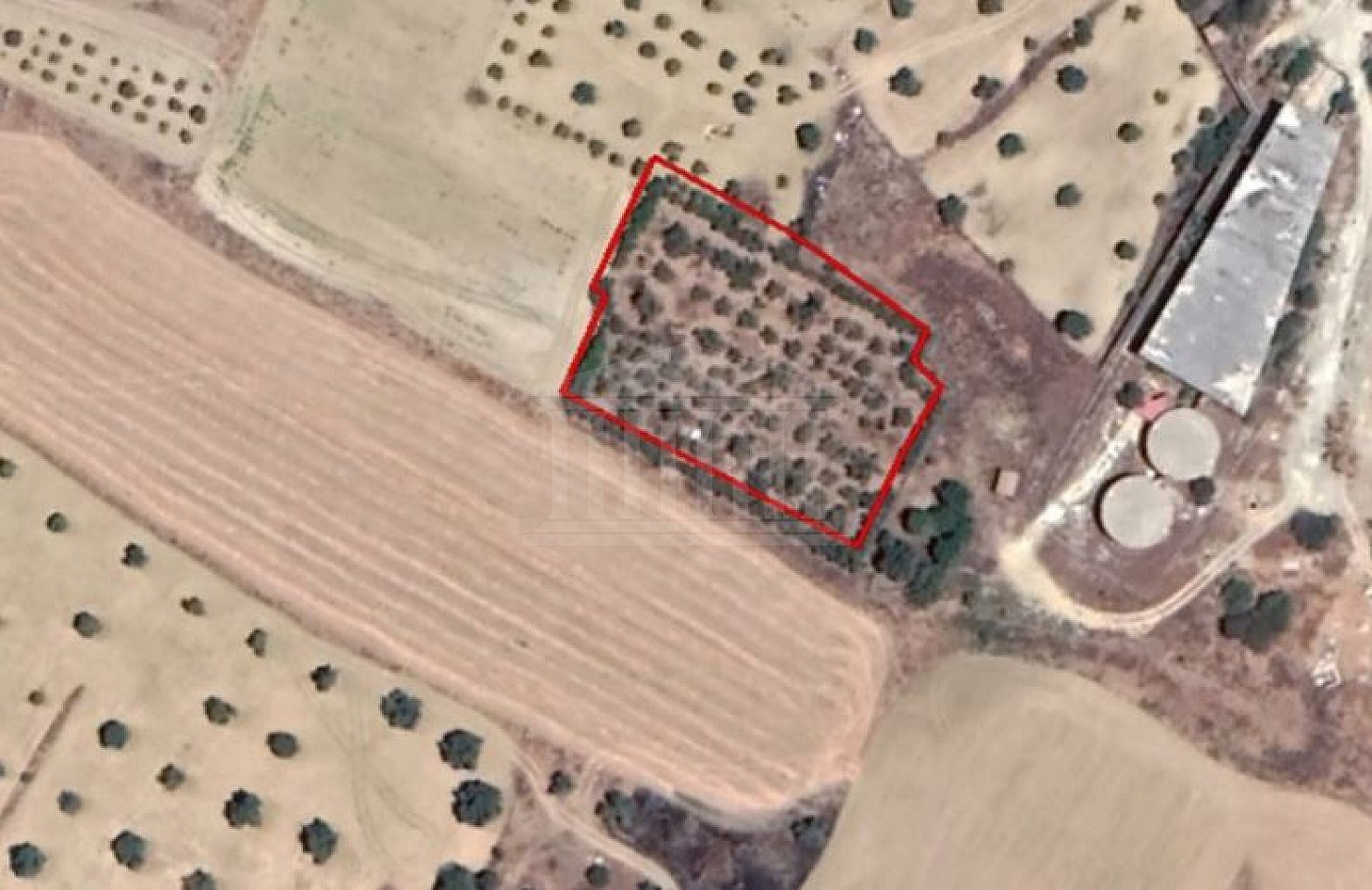 Field in Lakatamia, Nicosia