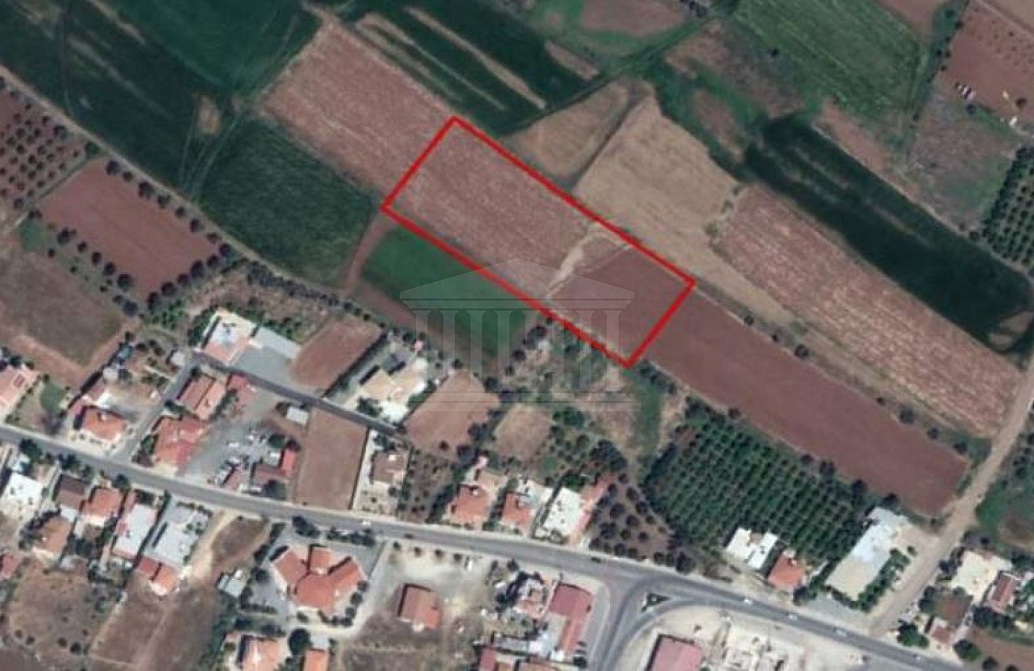 Field in Astromeritis, Nicosia