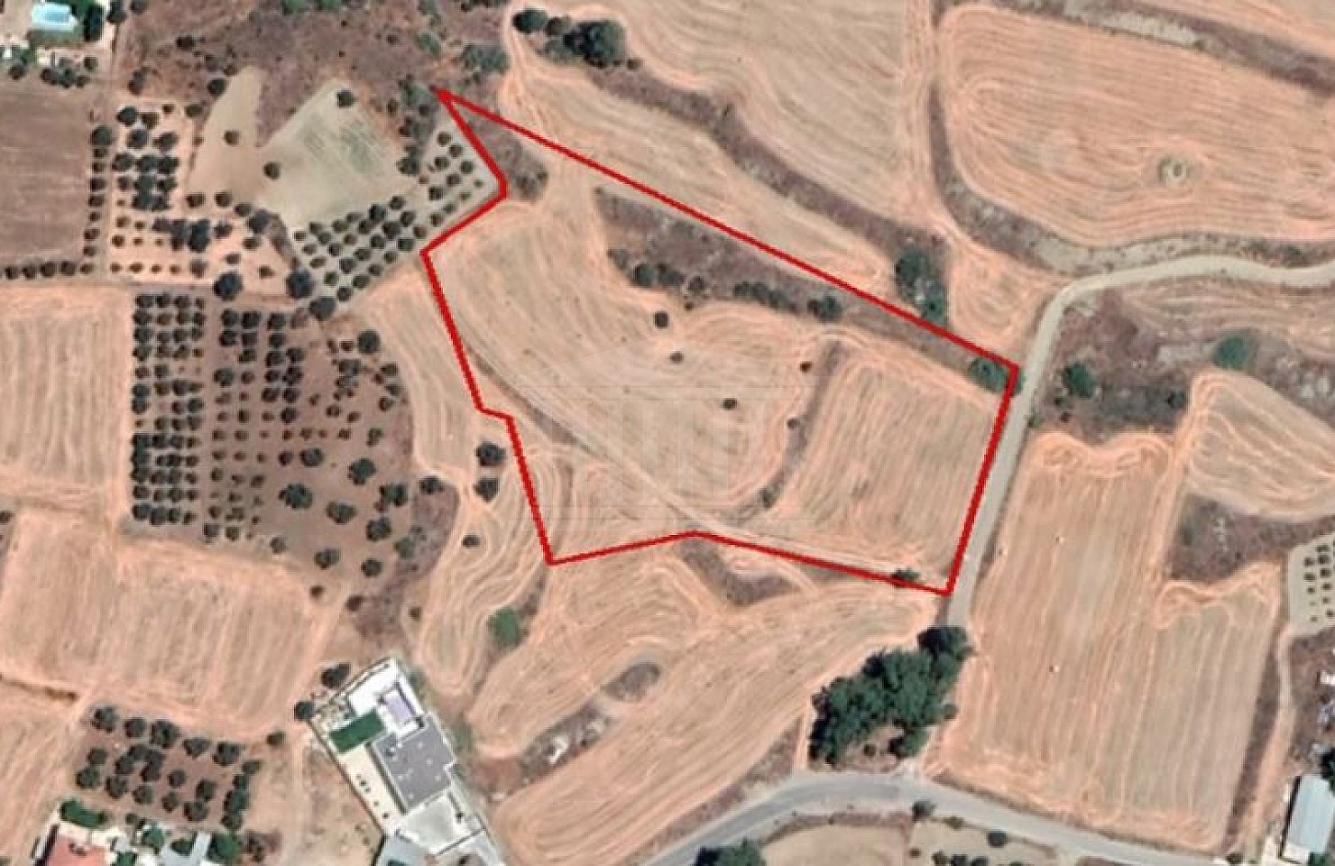 Field in Agios Ioannis, Nicosia